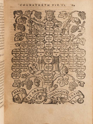 Analysis, Seu Resolutio Dialectica Quatuor Librorum Institutionum...