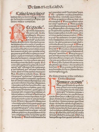 Casus Longi Super Quinque Libros Decretalium. Strasbourg, 1484.