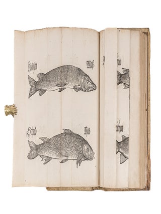 Bairische Landtsordnung, 1553 with Ercl„rung der Landsfreihait 1553