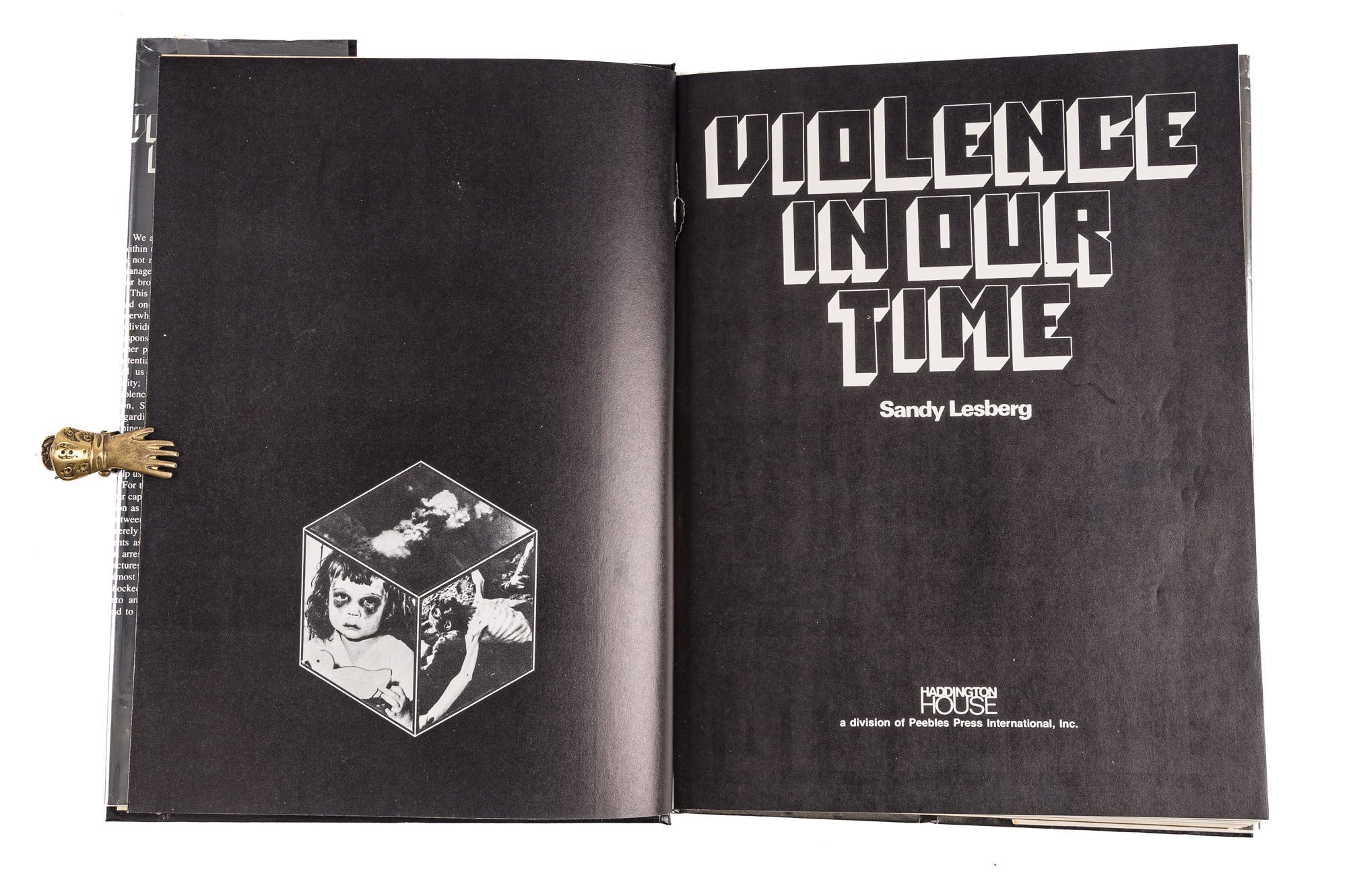 Violence In Our Time | Sandy Lesberg