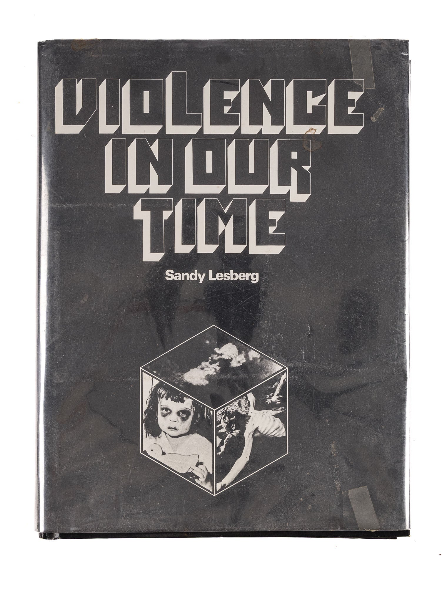 Violence In Our Time | Sandy Lesberg