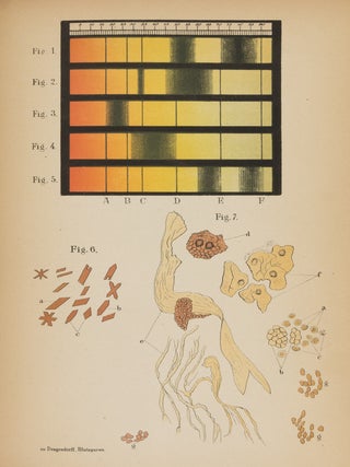 Handbuch der Gerichtlichen Medicin.